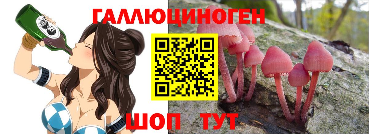 Галлюциногенные грибы мухоморы Дубна